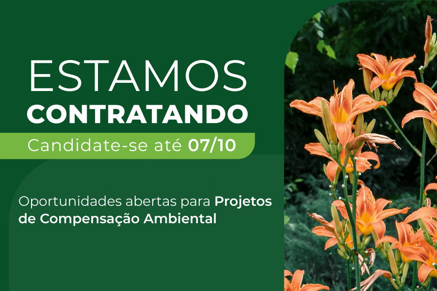 Oportunidades abertas para Projetos de Compensação Ambiental – IABS, o  Instituto Brasileiro de Desenvolvimento e Sustentabilidade